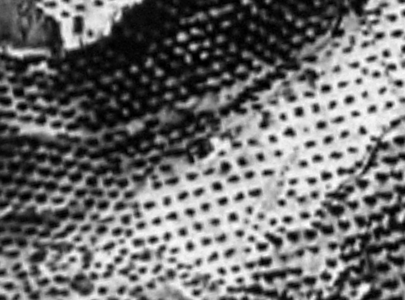 1955